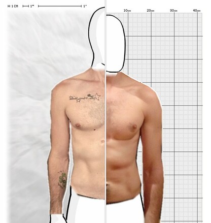 Torso Comparison