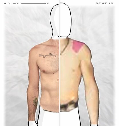 Torso Comparison