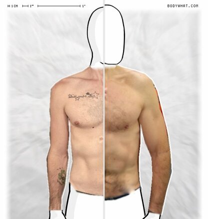 Torso Comparison