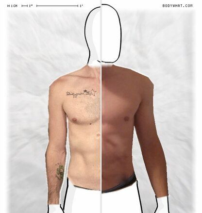 Torso Comparison