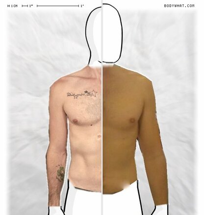 Torso Comparison