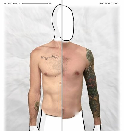Torso Comparison