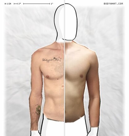 Torso Comparison