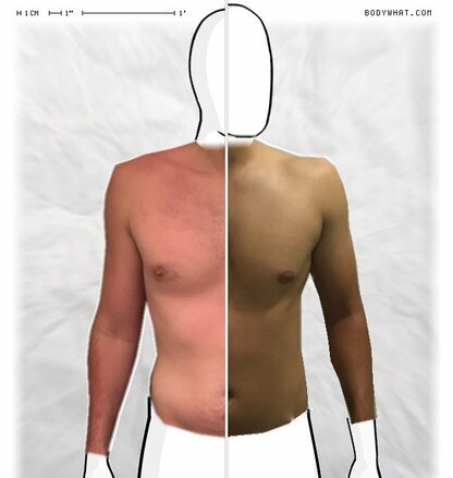 Torso Comparison