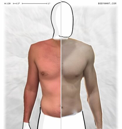 Torso Comparison