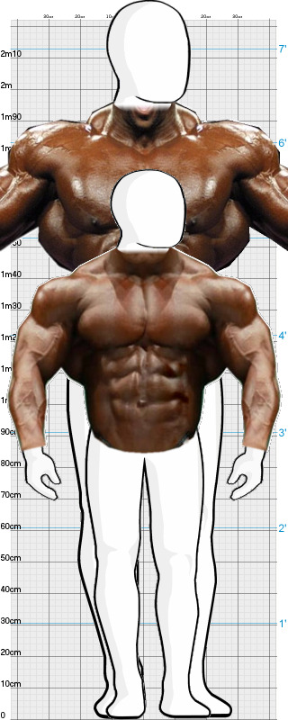 Full Size Comparison