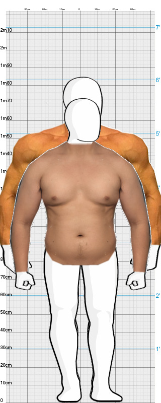 Full Size Comparison