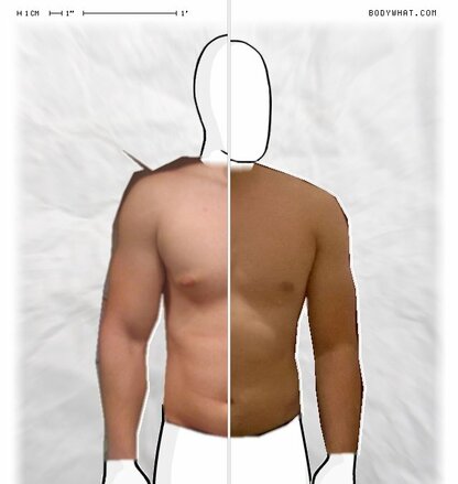 Torso Comparison