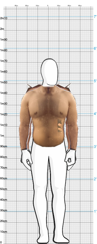 Full Size Comparison