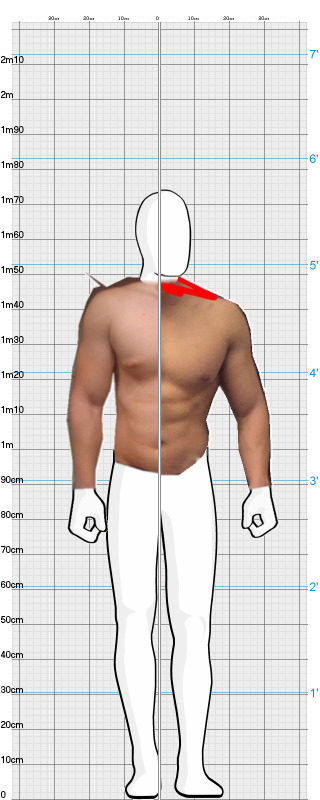 Full Size Comparison