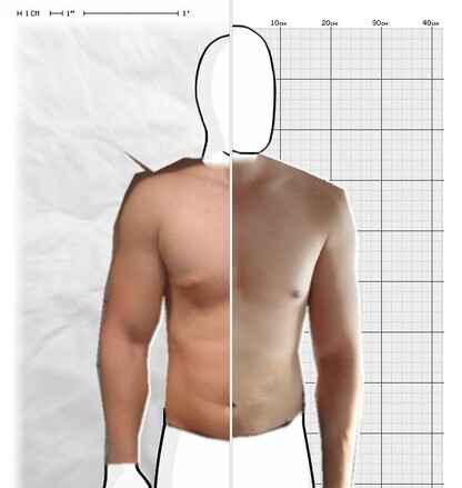 Torso Comparison