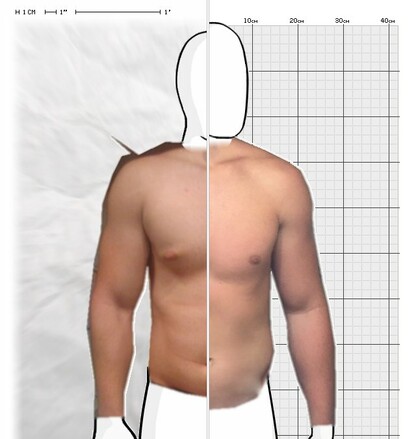 Torso Comparison