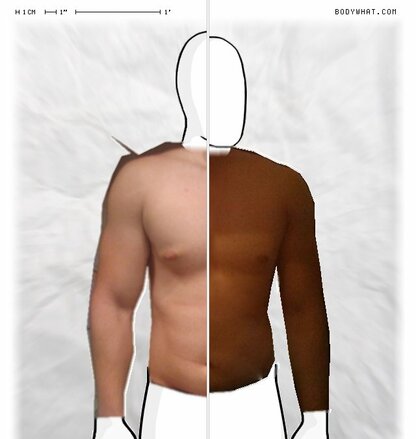 Torso Comparison