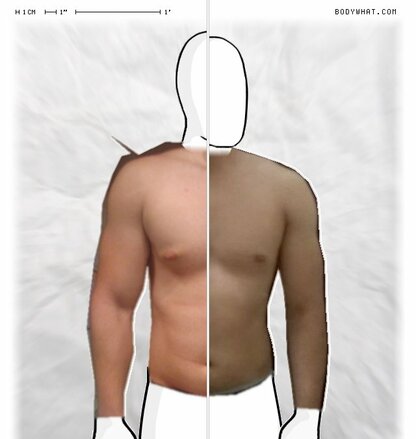Torso Comparison