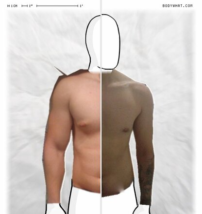Torso Comparison