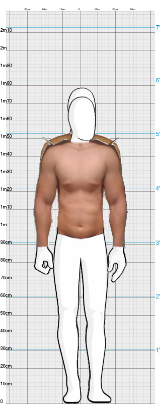 Full Size Comparison
