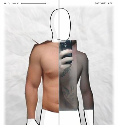 Torso Comparison