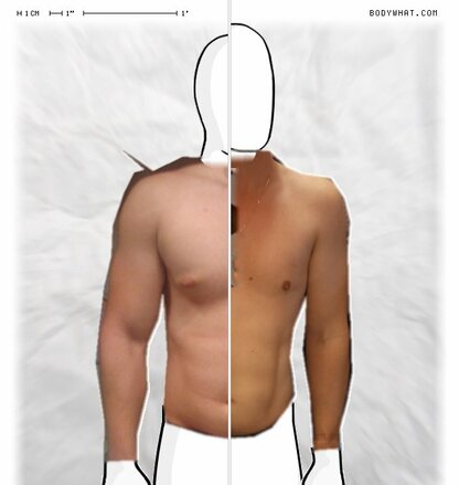 Torso Comparison