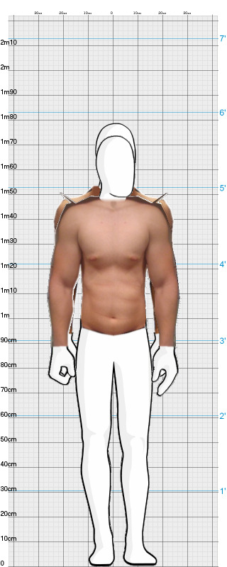 Full Size Comparison