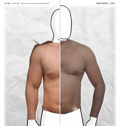 Torso Comparison