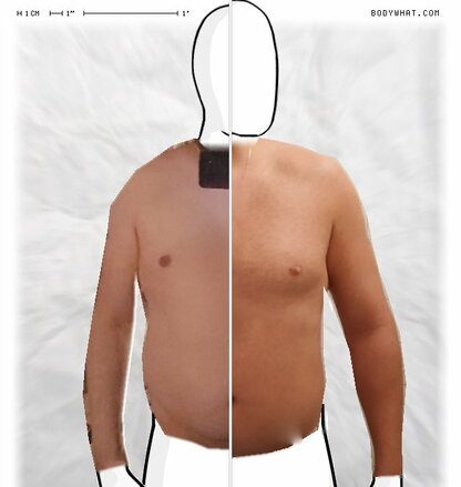 Torso Comparison