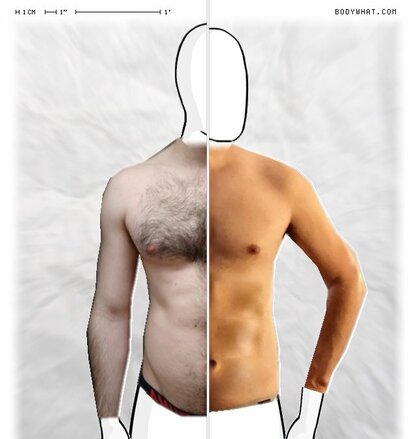 Torso Comparison