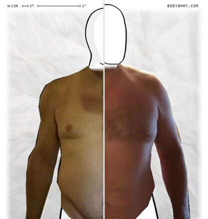 Torso Comparison