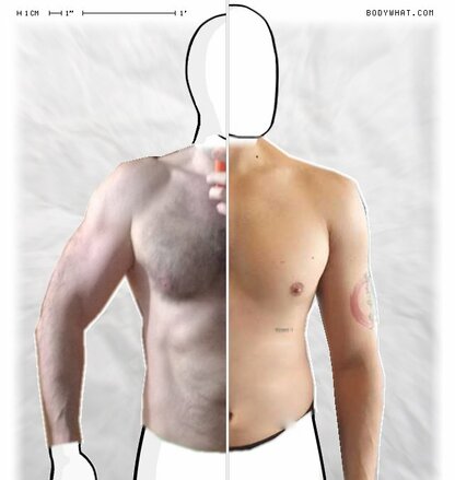 Torso Comparison
