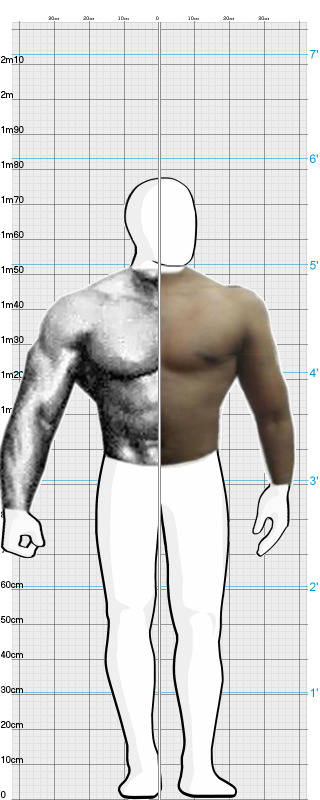 Full Size Comparison