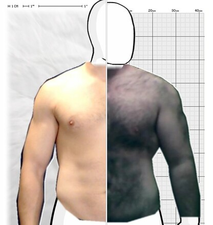 Torso Comparison