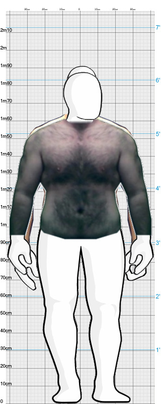 Full Size Comparison