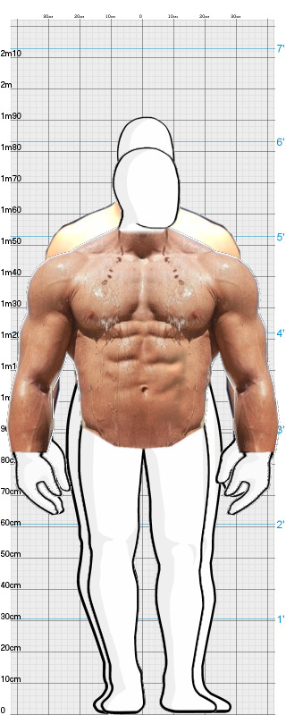 Full Size Comparison