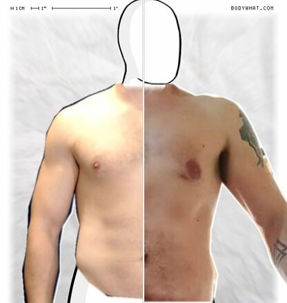 Torso Comparison