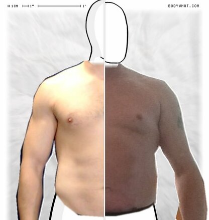 Torso Comparison