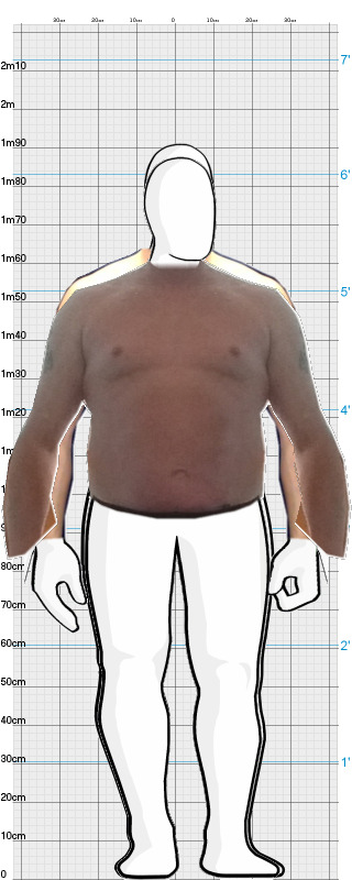 Full Size Comparison