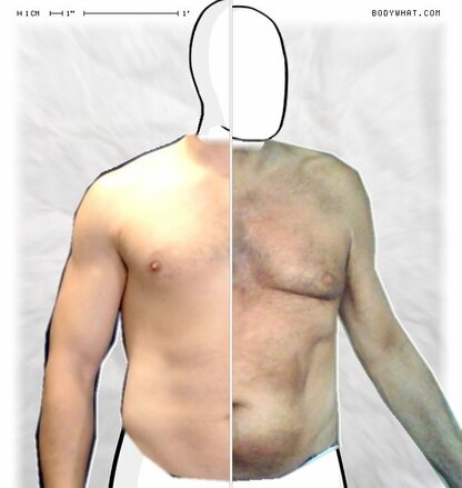 Torso Comparison