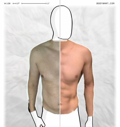 Torso Comparison
