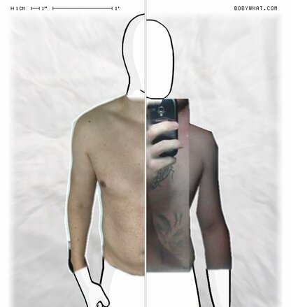 Torso Comparison