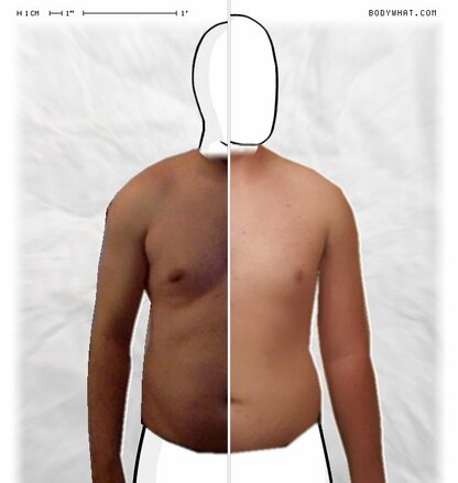 Torso Comparison