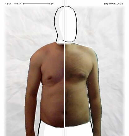 Torso Comparison