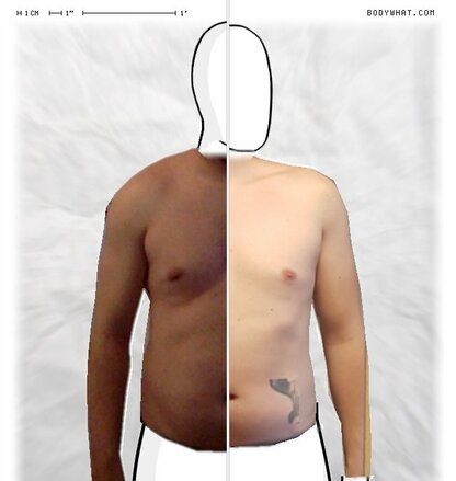 Torso Comparison