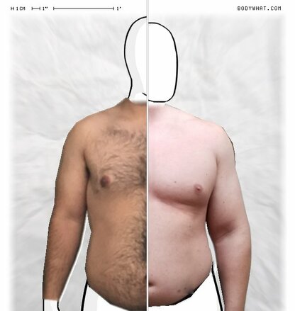 Torso Comparison