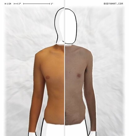 Torso Comparison