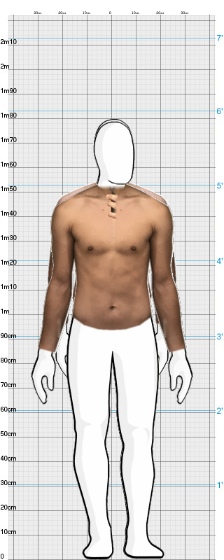 Full Size Comparison