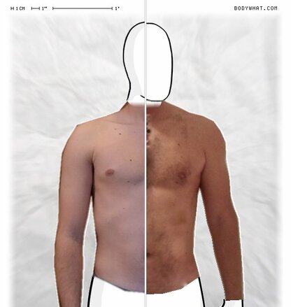 Torso Comparison