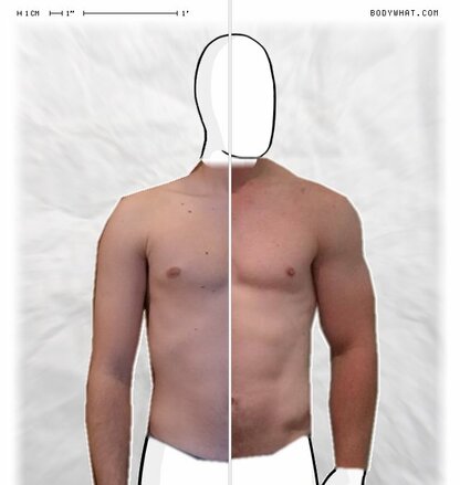 Torso Comparison