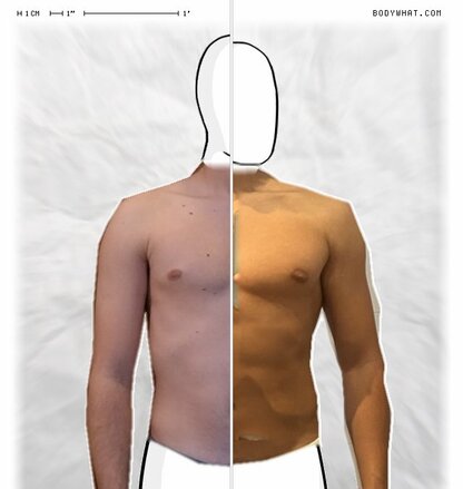 Torso Comparison