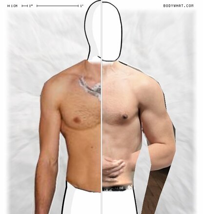 Torso Comparison