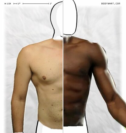 Torso Comparison