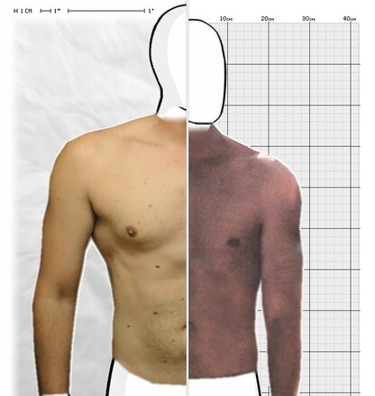 Torso Comparison